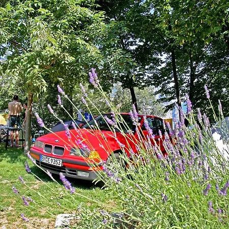 Campingplads Alpino - Nature Village Malcesine